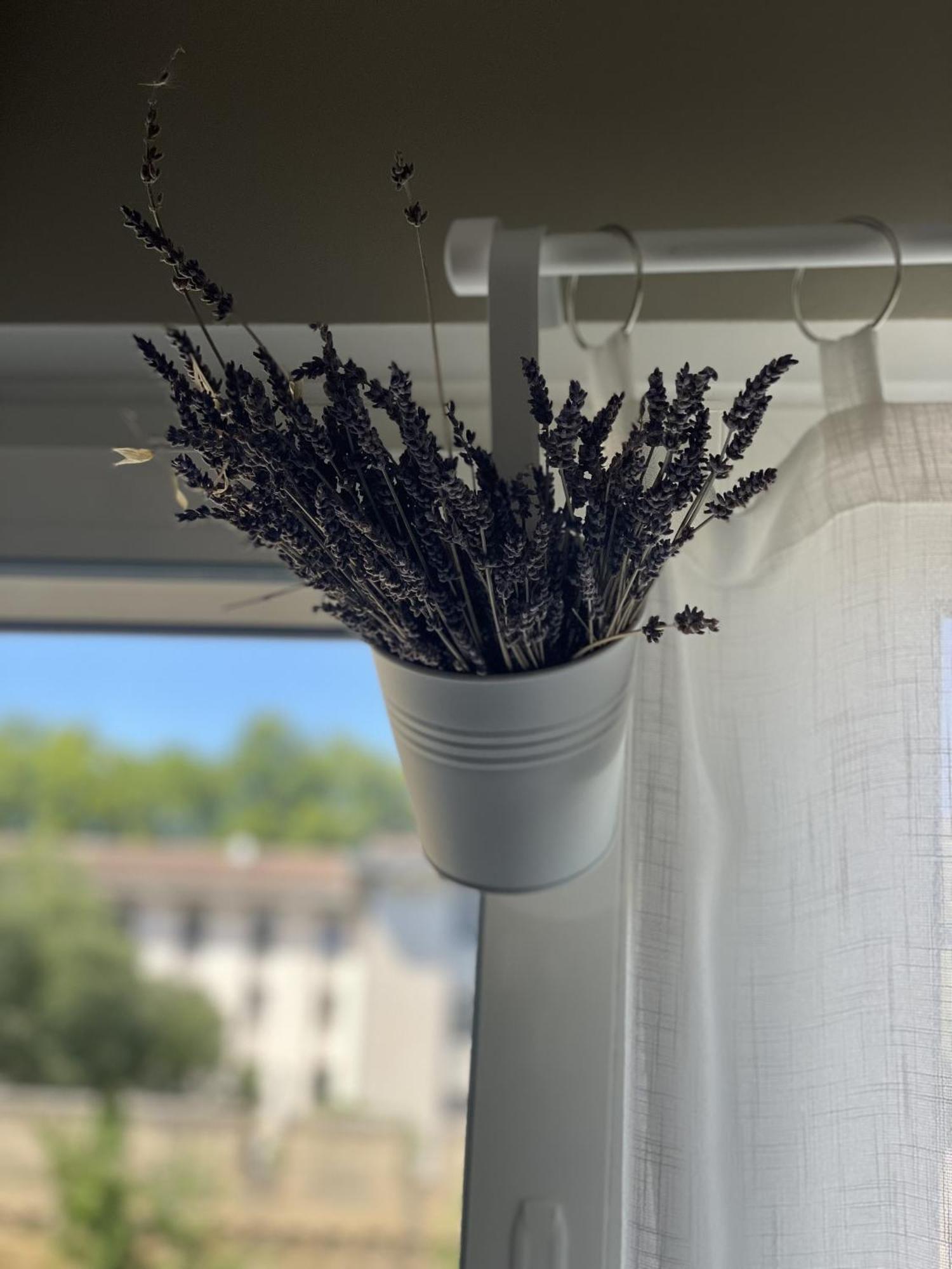 Apartament Chez Flo Awinion Zewnętrze zdjęcie